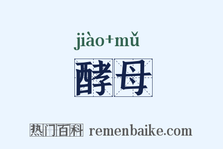 酵母是什么意思的图片